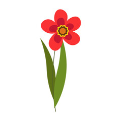 Spring flowers. Floral vector drawing. For use in decor, postcards, flower shops, brochures and covers, prints.