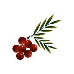 Branch with red berries and leaves. Vector illustration. For the design of prints, cards, flyers, clothing, packaging, brochures and covers.