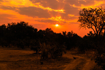 Amazing view of the classic african sunset