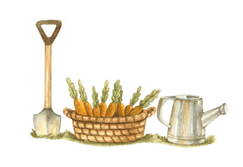 vegetable garden illustration