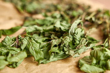 Mint sprigs are dried on paper until completely dry. Drying and storage of plants.