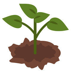 New shoots growing on the ground background image