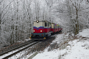 So called children's railway in the Buda hills in Budapest Hungary. Frozen landscape in the winter