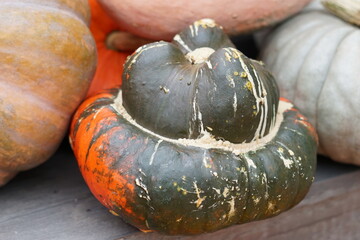pumpkin on a wooden table