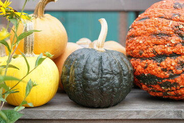 Kürbisse Bauernhof