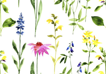 watercolor drawing seamless pattern with wild flowers at white background, hand drawn illustration