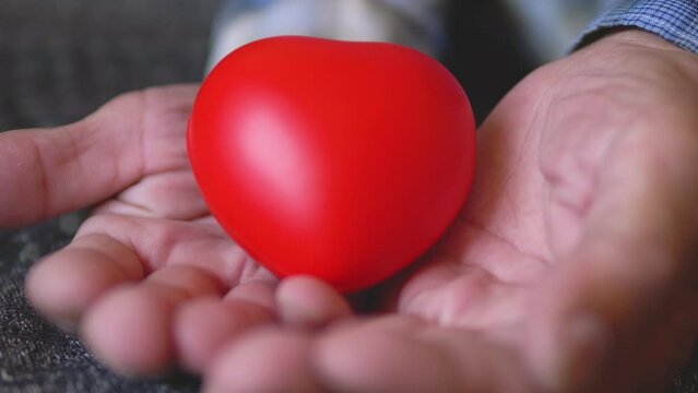 close-up in the hands of an elderly man a red rubber heart, selective focus. the concept of love in the family, caring for relatives, beloved old parents. heart health old man