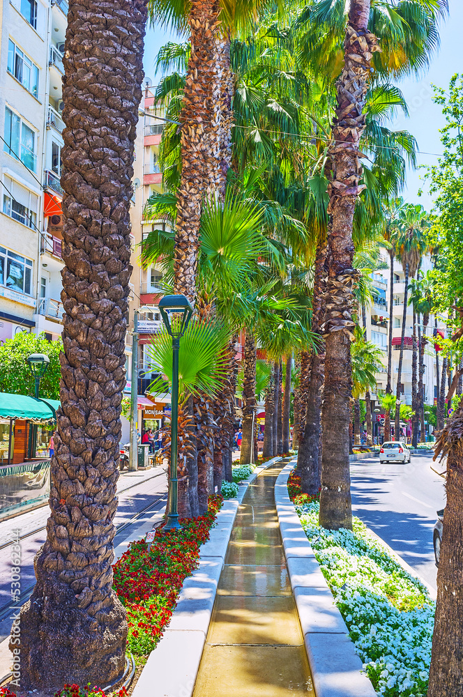 Poster Floral decoration of Ataturk Boulevard, on May 12 in Antalya, Turkey