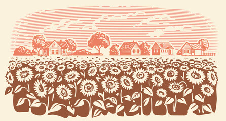 Sunflower in village sketch. Farm landscape