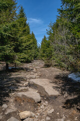 hiking trail in the fichtel mountains