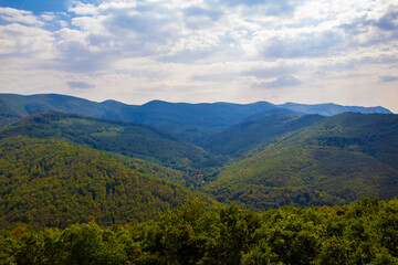 Fototapeta premium Hungarian landscape in the summer
