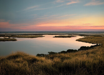 swamp horizon with plants and atmospheric clouds