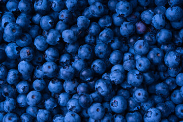 Fresh blueberry background. Texture blueberry berries close up.
