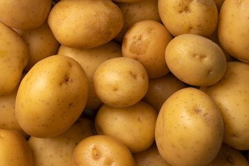 A group of fresh tasty potato as  background.