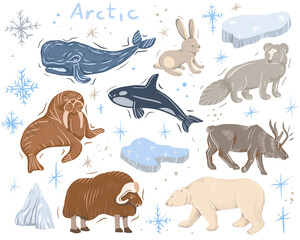 arctic animals nature wild world cold north cute cartoon ice snowflake polar bear muskox sperm whale scribe hand drawn