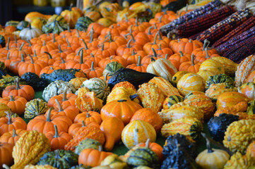 Colorful pumpkin and gourd display at a roadside vegetable stand