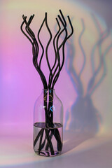 Aromatic reed air freshener on pink gradient background hard shadow. Aromatherapy sticks. Air...