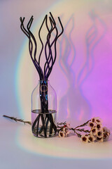 Aromatic reed air freshener on pink gradient background hard shadow. Aromatherapy sticks. Air...