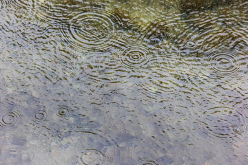 Raindrops in water form concentric circles and create a pattern on the water surface
