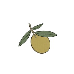 A sprig of olive tree, green olive berries, a set of illustrations painted in watercolor, isolated on a white background. Botanical elements for packaging design