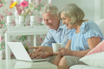 Obraz premium Modern senior couple smiling while browsing on laptop.