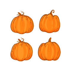 set of pumpkins isolated on white background, autumn pumking cartoon style