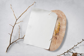 Clean minimal poster mockup on wooden plate with sticks and plant