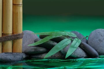Green leaf on rocks with bamboo sticks on the water against green blurred background