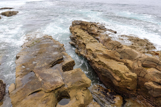 View of tide pools on rocks by the seawall with various types of crustaceans in La Jolla, California.