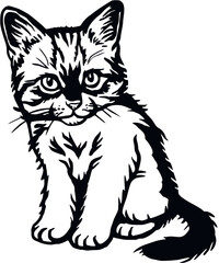 Fototapeta na wymiar Domestic Cat, Peeking kitten - Cheerful kitty isolated on white - vector stock