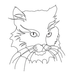 Cat one line drawing.Vector one line illustration.