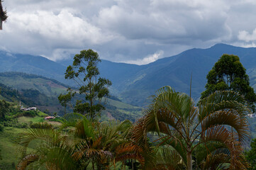 Fototapeta premium clima de en la montaña en el Cairo valle en Colombia 