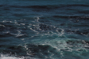 Cape of Good Hope