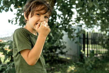 A boy in the garden among the apple trees eats an apple