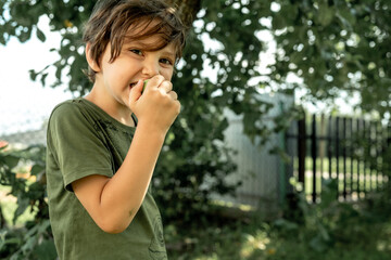 Fototapeta premium A boy in the garden among the apple trees eats an apple