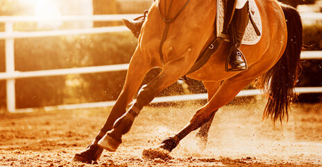 The legs of a bay fast racehorse with a rider in the saddle, tread on the sandy arena, raising...