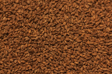 A lot of wheat close-up, grains, harvesting, grain for flour.
