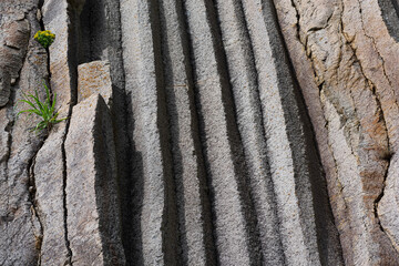 surface of a rock wall formed by columnar basalt
