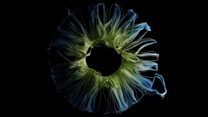 Foto op Plexiglas Abstract 3d render of blue and green iris © Crane Design
