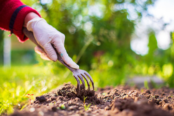 Cultivation of land in the garden with hand tools. Soil loosening. Gardening concept. Agriculture...