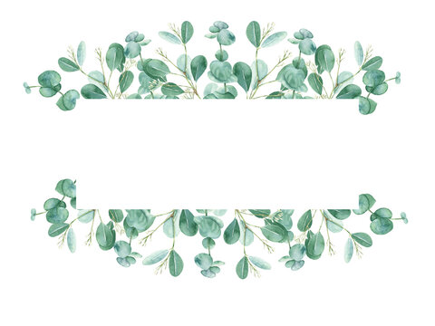 Watercolor floral horisontal frame. Eucalyptus branches isolated on white background. Can be used for wedding, greeting cards, baby shower, banners, blog templates and cosmetic design.