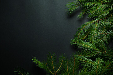 branches of spruce and pine on a black background with a place for the text mockup, the concept of the new year
