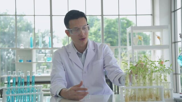 Research concept of 4k resolution. Asian scientists are describing plant growth observations in the laboratory.