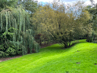 Obraz premium Tranquil parkland scene, near the sloping banks of the river Aire on a cloudy day in, Bingley, UK
