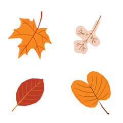 Autumn leaves set, isolated on white background. Simple cartoon flat style. Isolated vector illustration. Design for stickers, logo, web and mobile app.