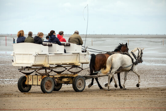 Pferdekutsche auf dem Weg nach Neuwerk