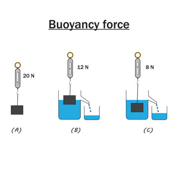 Buoyancy Force Experiment Diagram With Water On White Background.Archimede's Principle.Educational Content Of Physics And Science Students.Vector Illustration