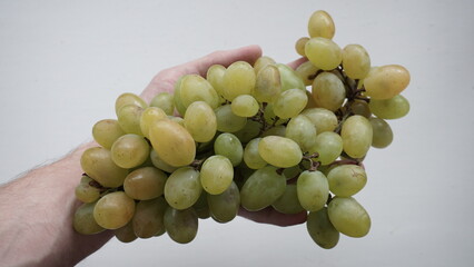 Green grapes in a man's hand on the background of a white surface