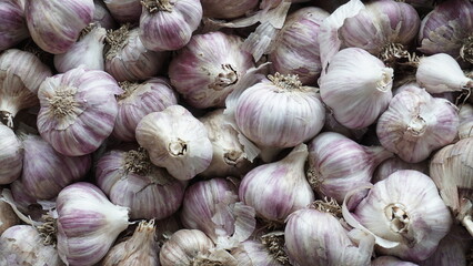 
A large amount of garlic in a chaotic arrangement. Garlic is gray in color, large and small in the outer husk