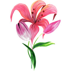 Watercolor floral bouquets.